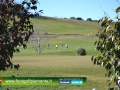 6 Regions’ Cup ‎Footgolf ‎Piemonte 2016 Golf Club Monferrato (Al) 16gen16-54