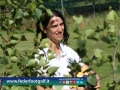 Coppa Italia Squadre 2015 Golf Les Iles Brissogne (Vb) 20giu15-142