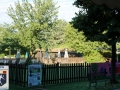 DSC_6153.JPG