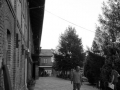 DSC_6167.JPG