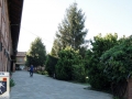 DSC_6168.JPG