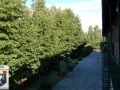 DSC_6189.JPG