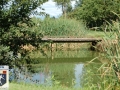 DSC_6386.JPG