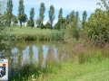 DSC_6410.JPG