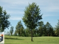 DSC_6505.JPG