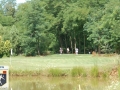 DSC_6506.JPG