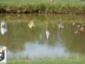 DSC_6518.JPG