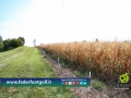 Tappa Federfootgolf 2014 Golf Ciliegi di Pecetto (To) 14set14-378