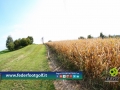 Tappa Federfootgolf 2014 Golf Ciliegi di Pecetto (To) 14set14-379