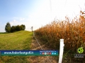 Tappa Federfootgolf 2014 Golf Ciliegi di Pecetto (To) 14set14-381