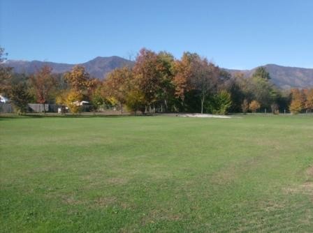 Golf Club I Carpini Nole TO-6